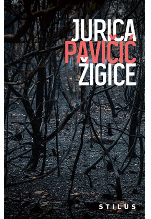 Jurica Pavičić, Žigice