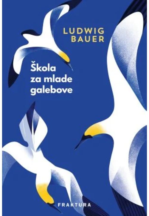 Knjiga "Škola za mlade galebove", avtor Ludwig Bauer – roman. Izdala založba Fraktura. Prodaja: založba in spletna knjigarna VBZ Ljubljana